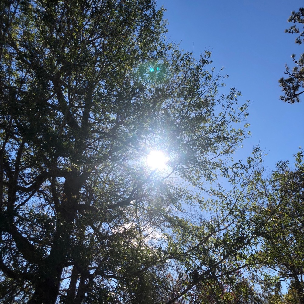 Meet your Posher, Ddenise